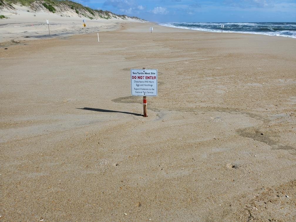 A small posted sign and stake mark a protected sea turtle nest in the sand between Ramp 30 and Ramp 32 on Hatteras Island.